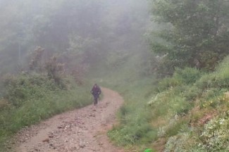 Walking along the Camino in the morning fog.