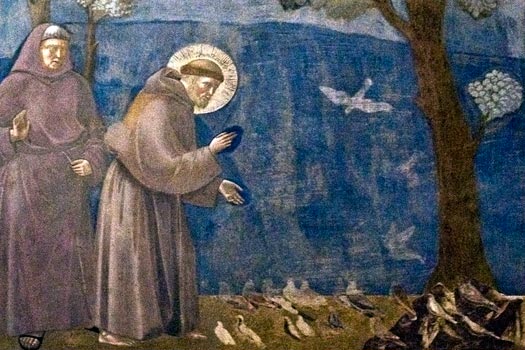 St. Francis: So Much More Than an Animal Lover - Busted Halo