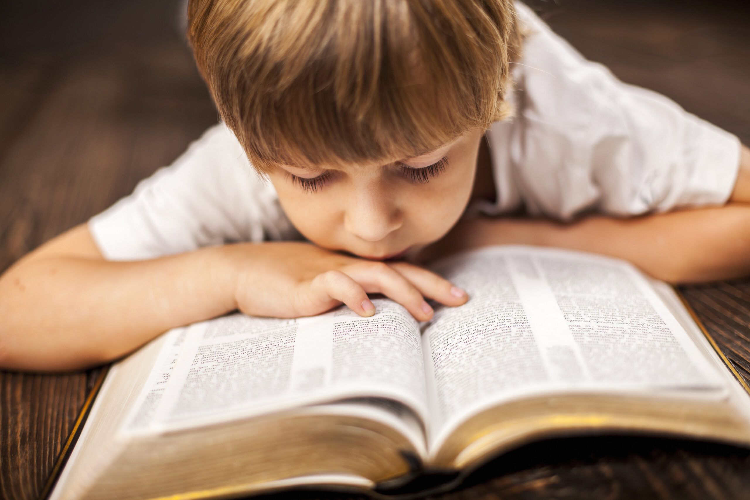 Мальчик учит стихотворение. Библия для детей. Книга для мальчиков. Книги для детей. Чтение Священного Писания.