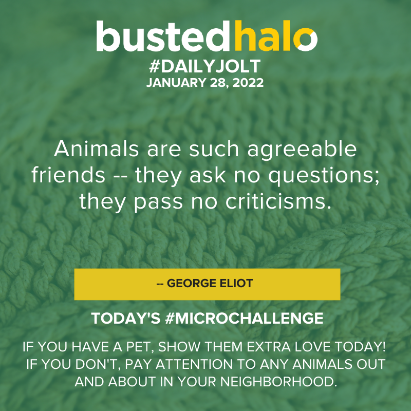 Daily Jolt: Animals are such agreeable friends-- they ask no questions; they pass no criticisms. --George Eliot; Microchallenge: If you have a pet, show them extra love today! If you don't, pay attention to any animals out and about in your neighborhood.