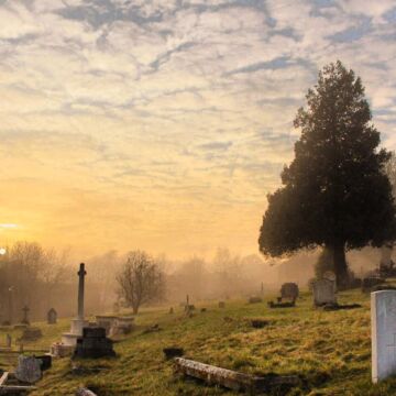 View of cemetery with pine tree and tomb stones, during a foggy day with sun on horizon.