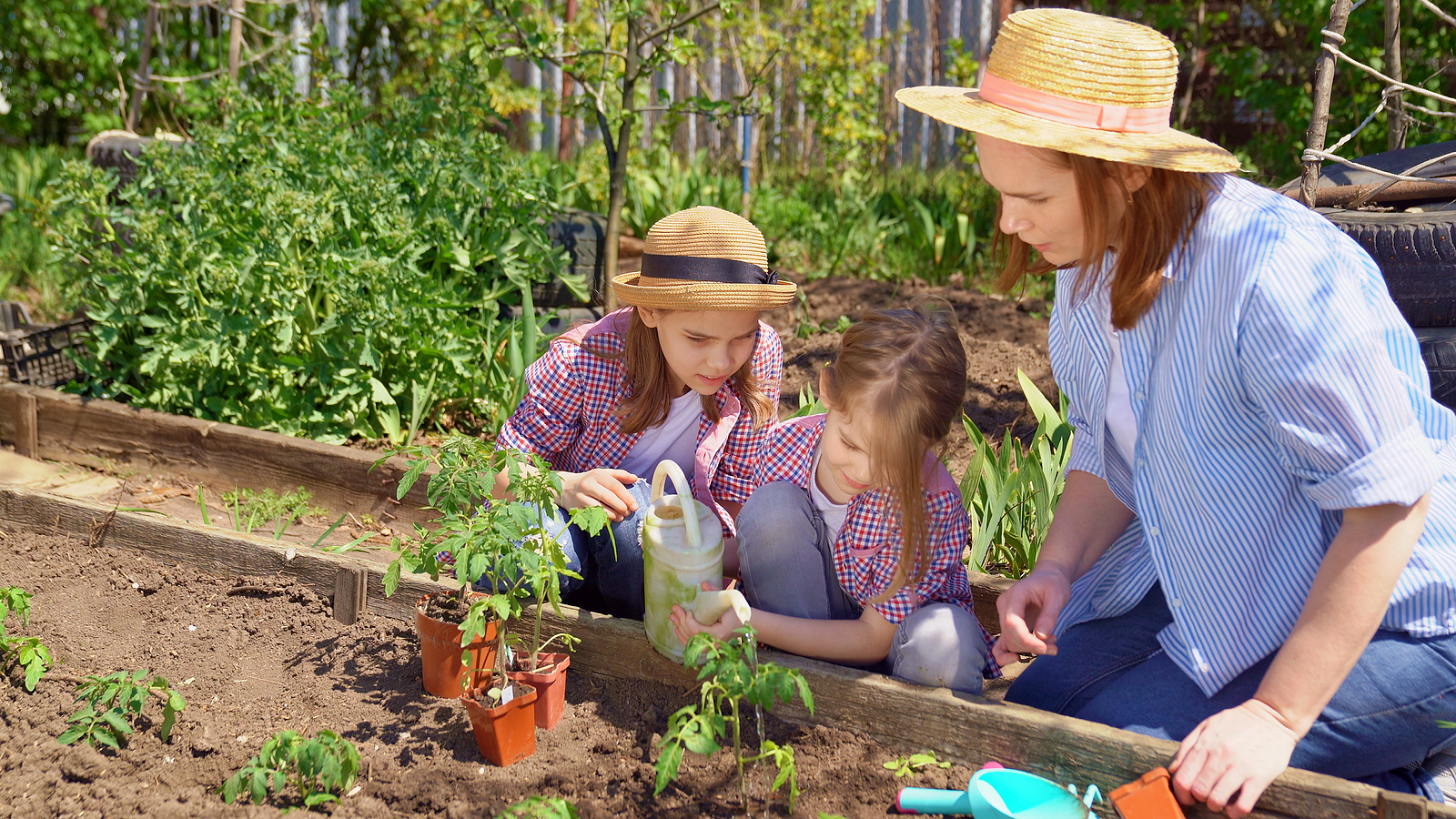 Mom And Her Daughters Planting Seedlings In Garden Box